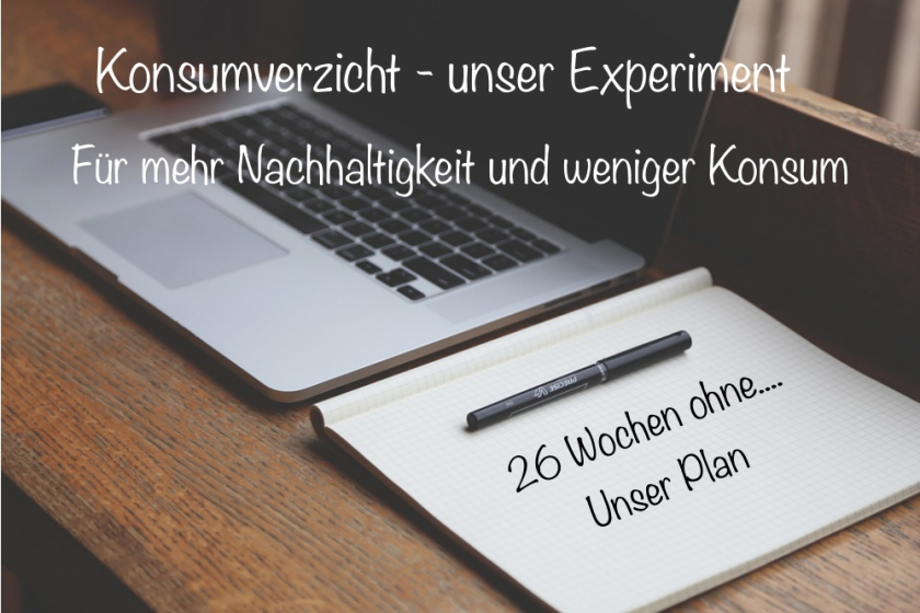 Konsumverzicht Erfahrungen