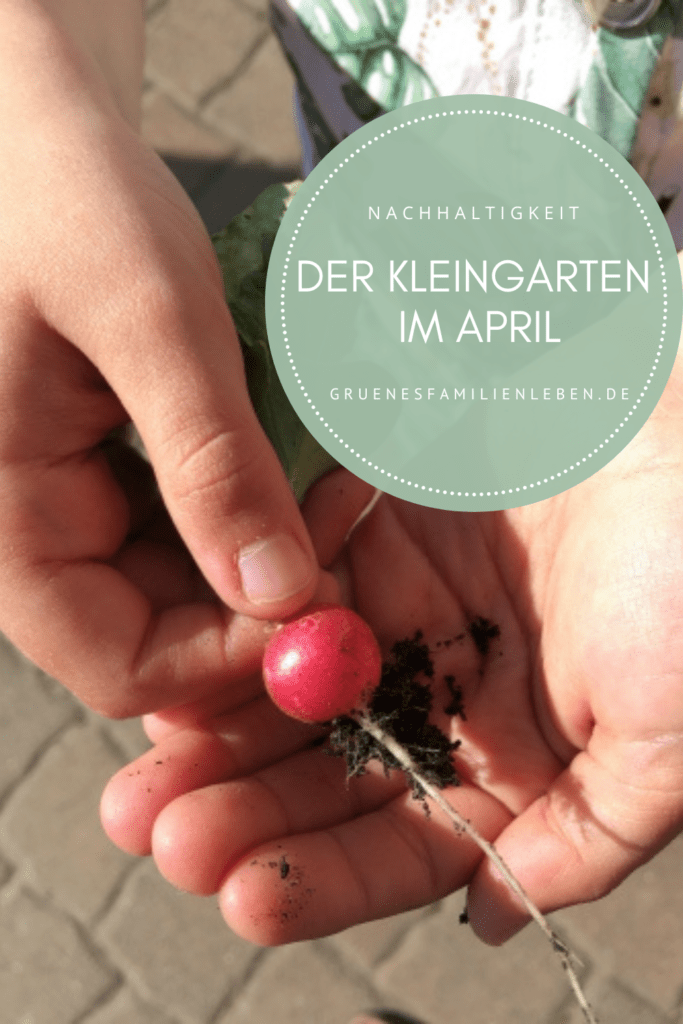 Kleingarten April