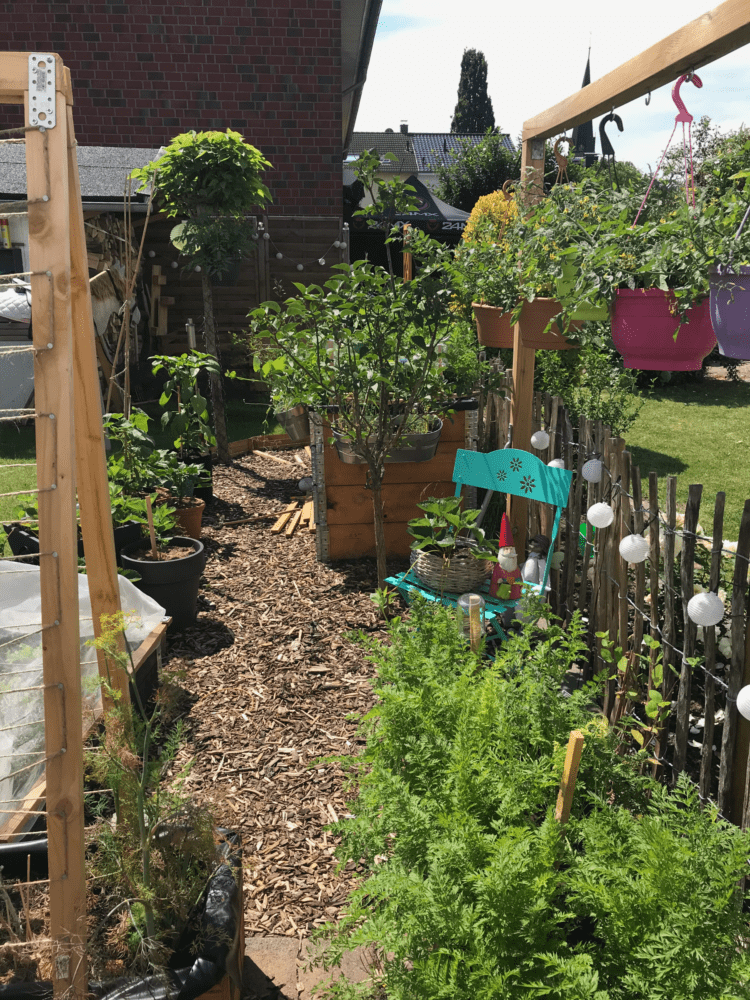 Gemuesegarten Kleingaertnern Blog Erfahrungen Tipps Urban Gardening bunte gaerten