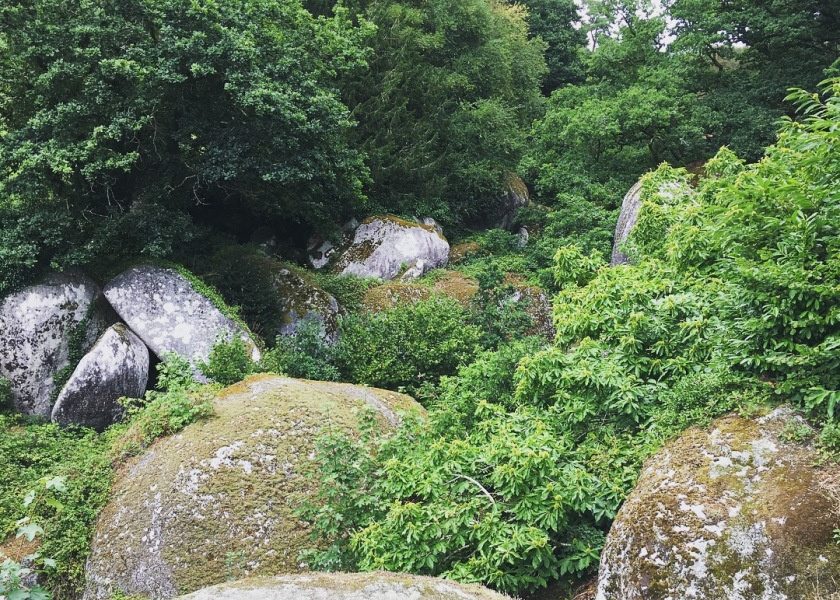 Mystischer Wald Von Huelgoat In Der Bretagne