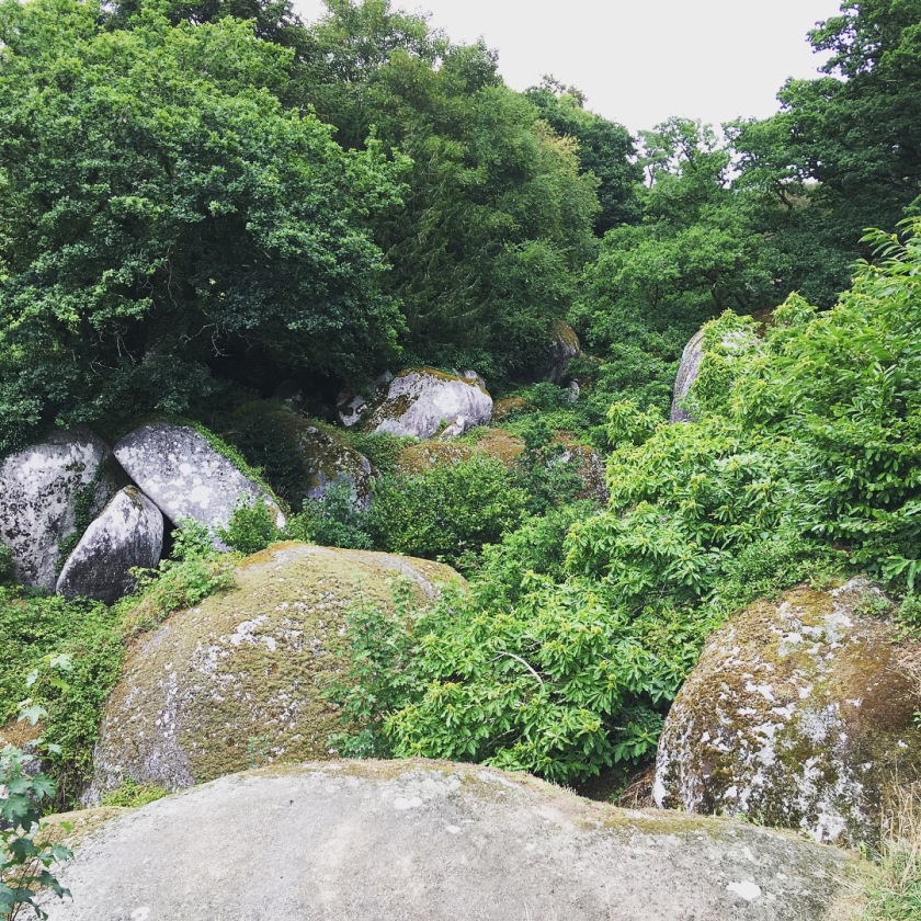 Mystischer Wald von Huelgoat in der Bretagne
