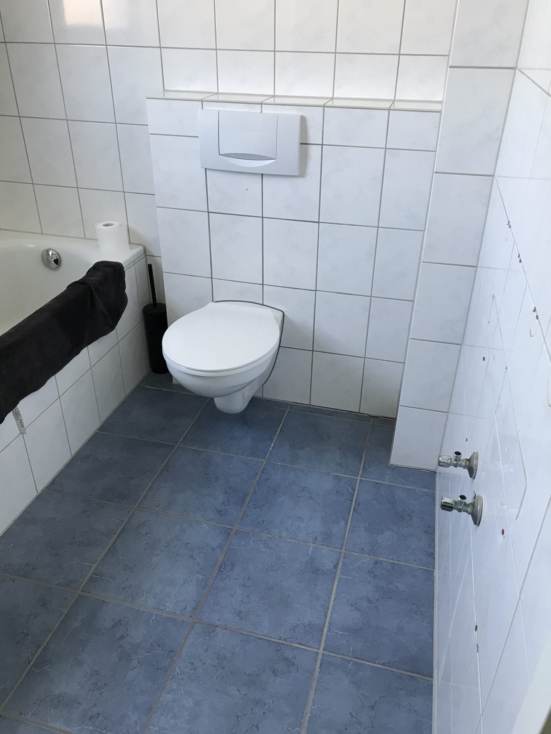 Minimalismus im Badezimmer, alte Toilette
