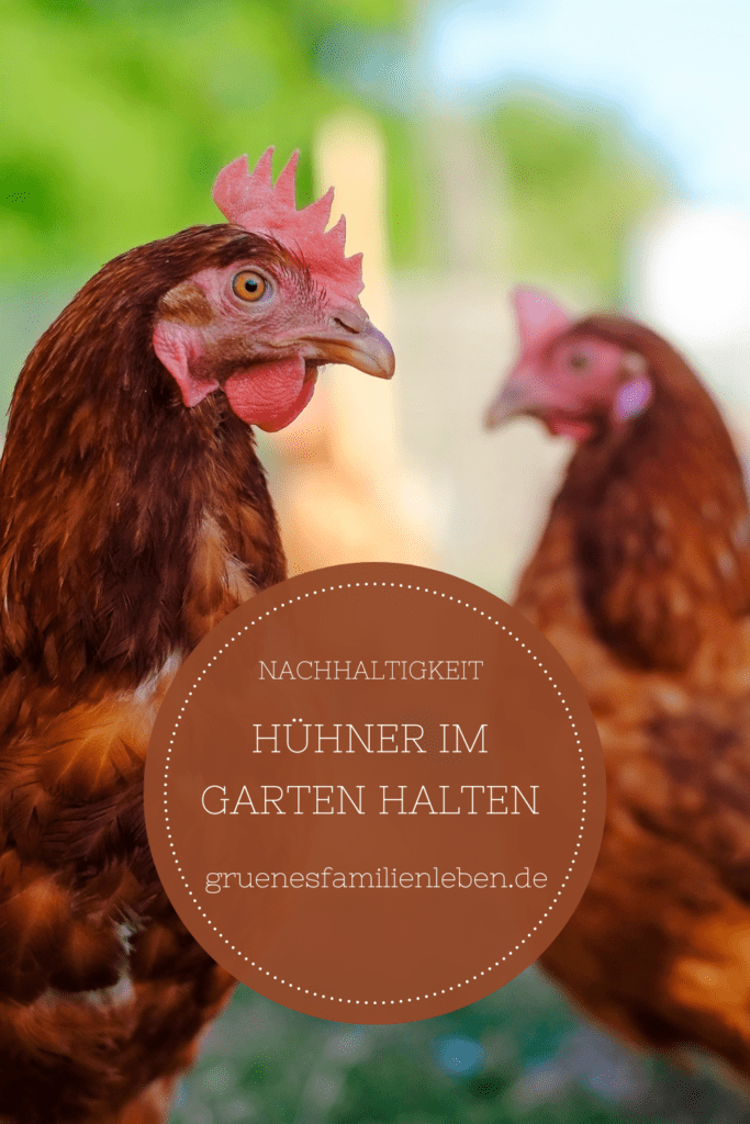 Hühner im Garten halten